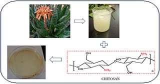 Aloe Maculata/Chitosan Composite Gel