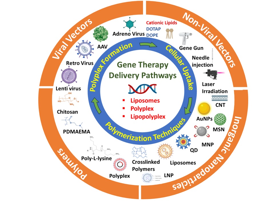 Innovations in Non-Viral Cationic Platforms for Targeted Gene Delivery