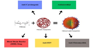 Chitosan Biomaterial